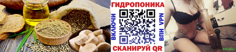 магазин  наркотиков  мега ТОР  Печенье с ТГК марихуана  дарк нет формула  Сельцо 