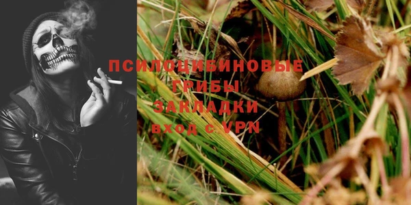 хмурый Алексеевка