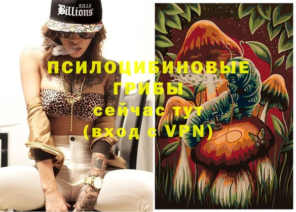 хмурый Алексеевка