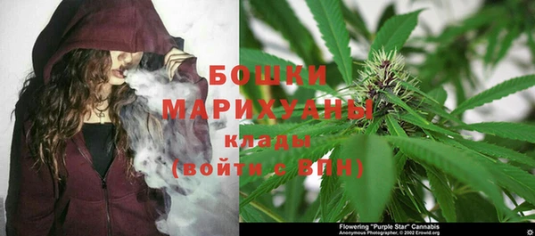 ПСИЛОЦИБИНОВЫЕ ГРИБЫ Алзамай